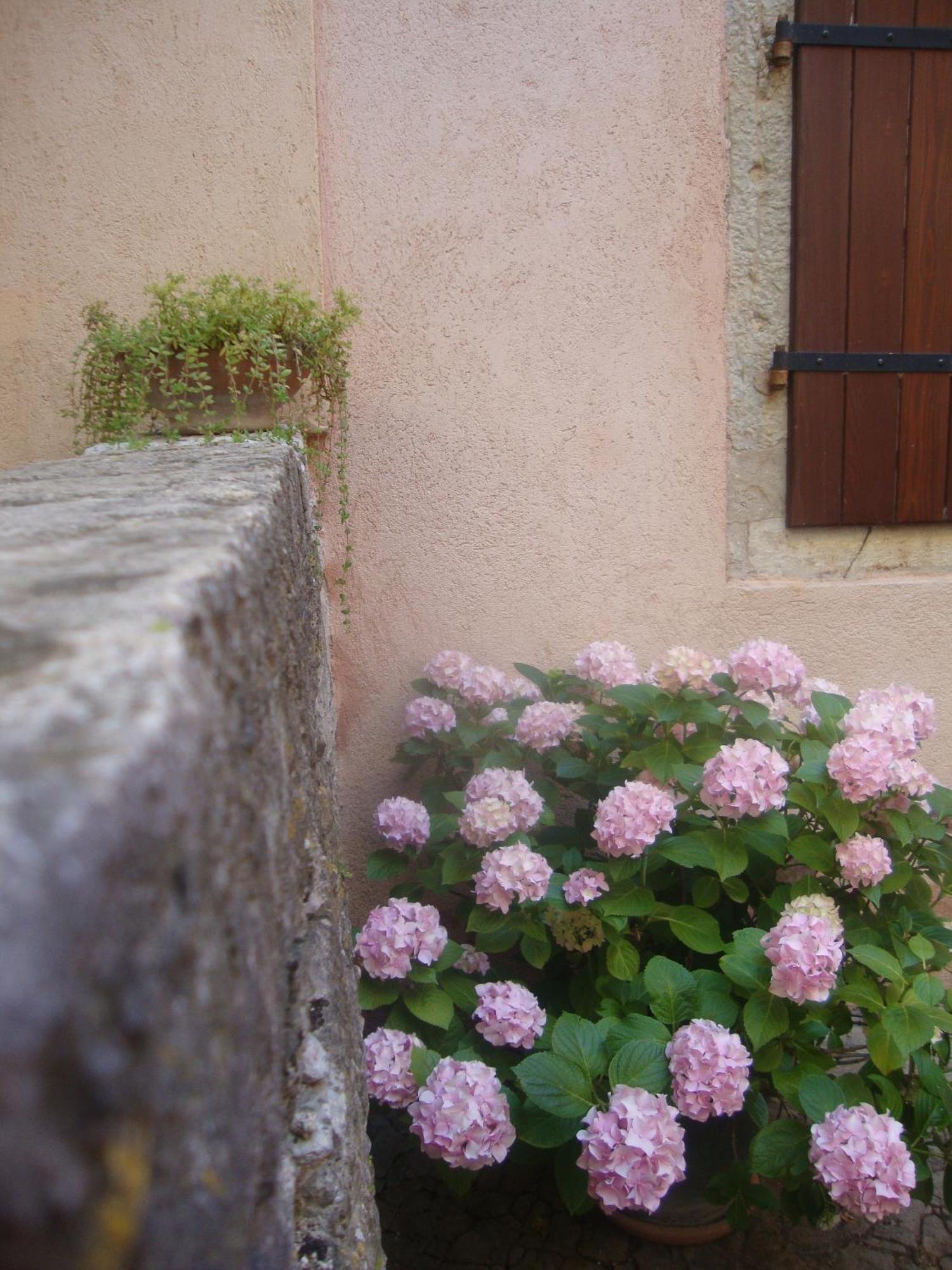موتوفون Bed & Breakfast Antico المظهر الخارجي الصورة