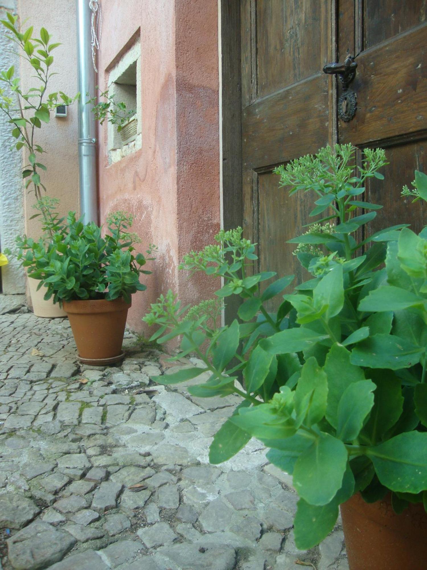 موتوفون Bed & Breakfast Antico المظهر الخارجي الصورة